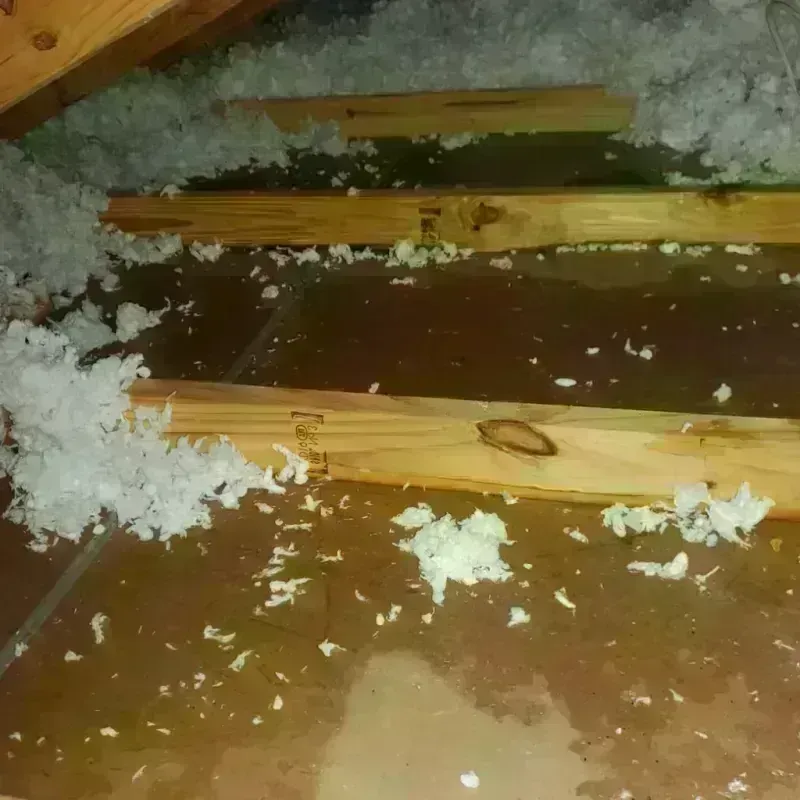 Attic Water Damage in Hubbard, OR