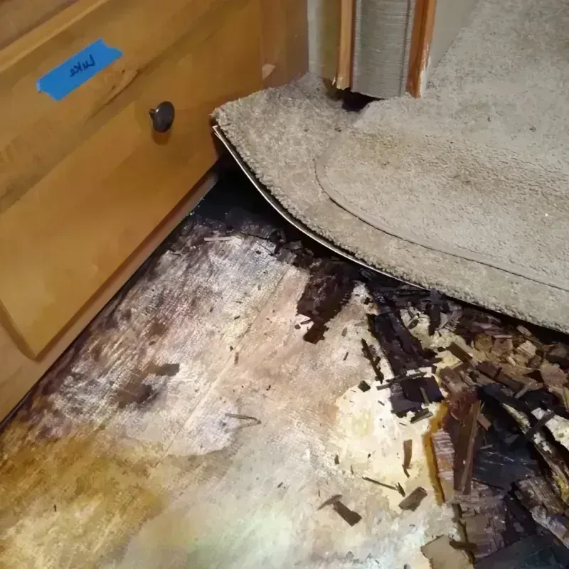 Best Wood Floor Water Damage Service in Hubbard, OR